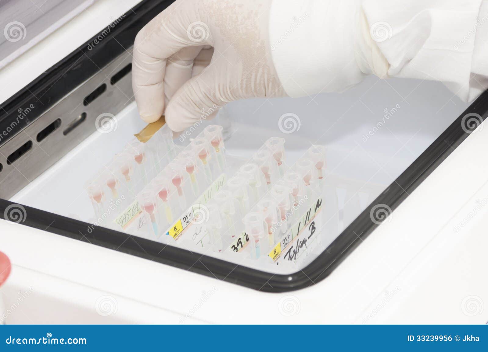 LaboratoryBlood Bank stock photo. Image of hematologist 33239956