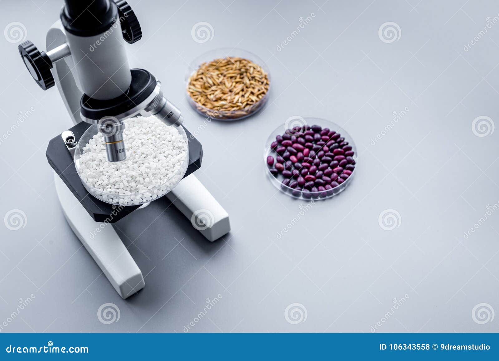 Laboratory for Food Analysis. Rice Under the Microscope on Grey