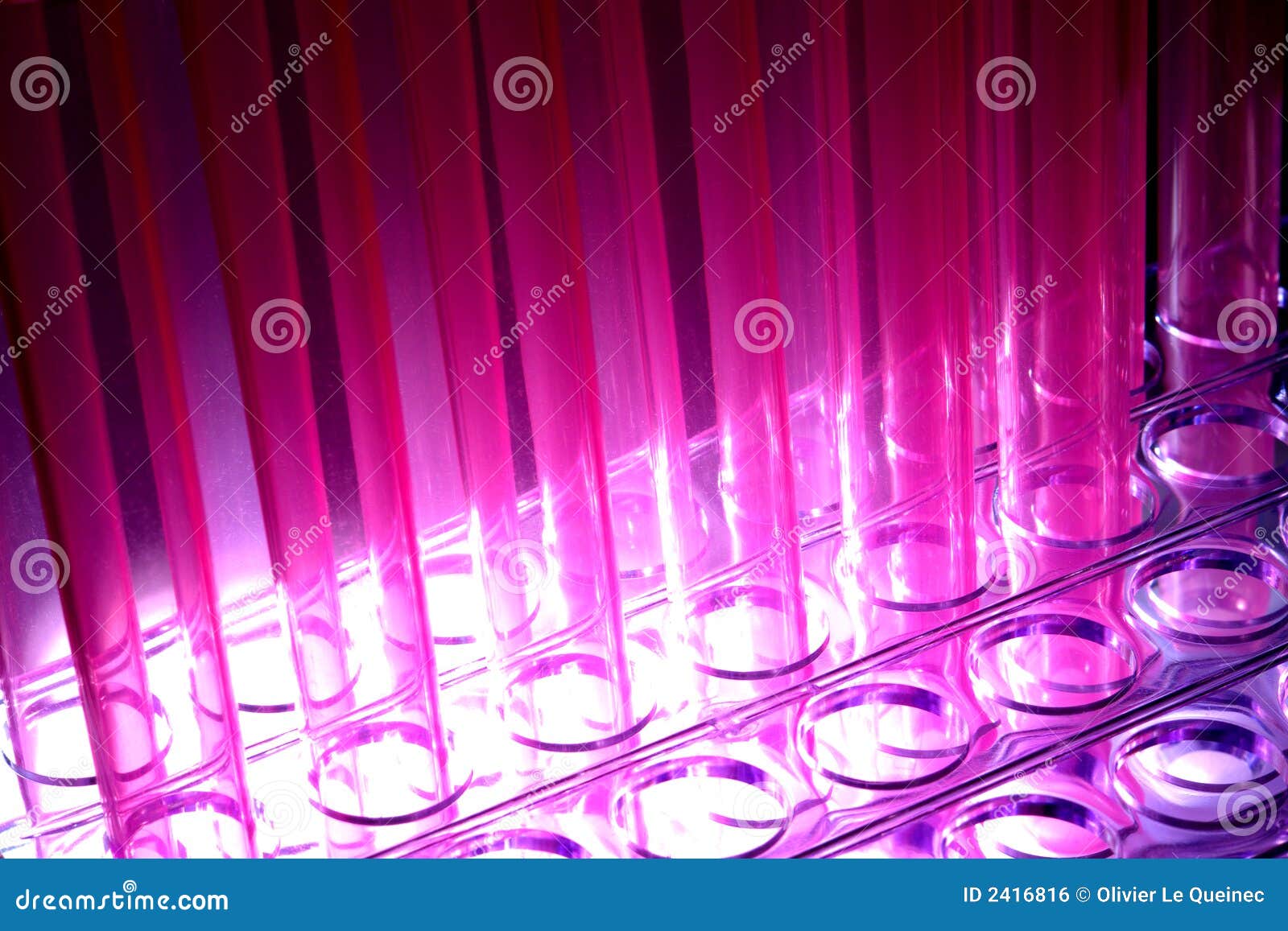 Laboratory Test Tubes in Science Research Lab Stock Photo Image of