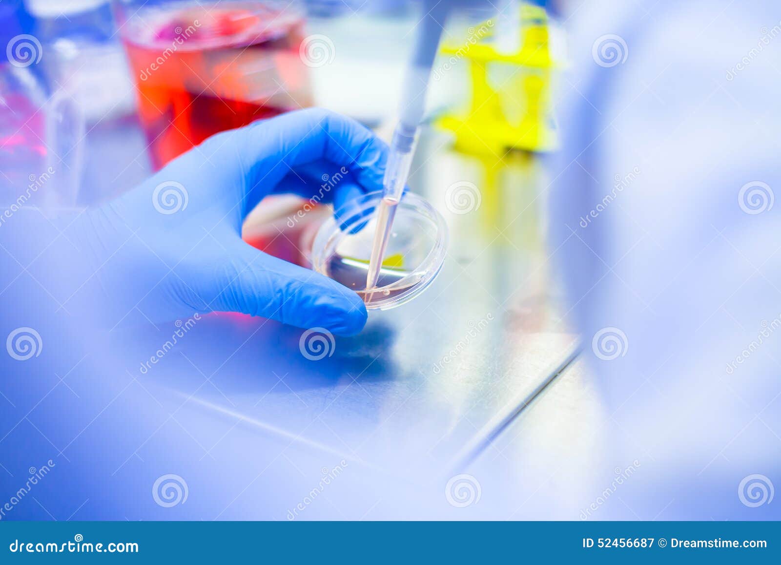 laboratory work with cells and tissue cultures