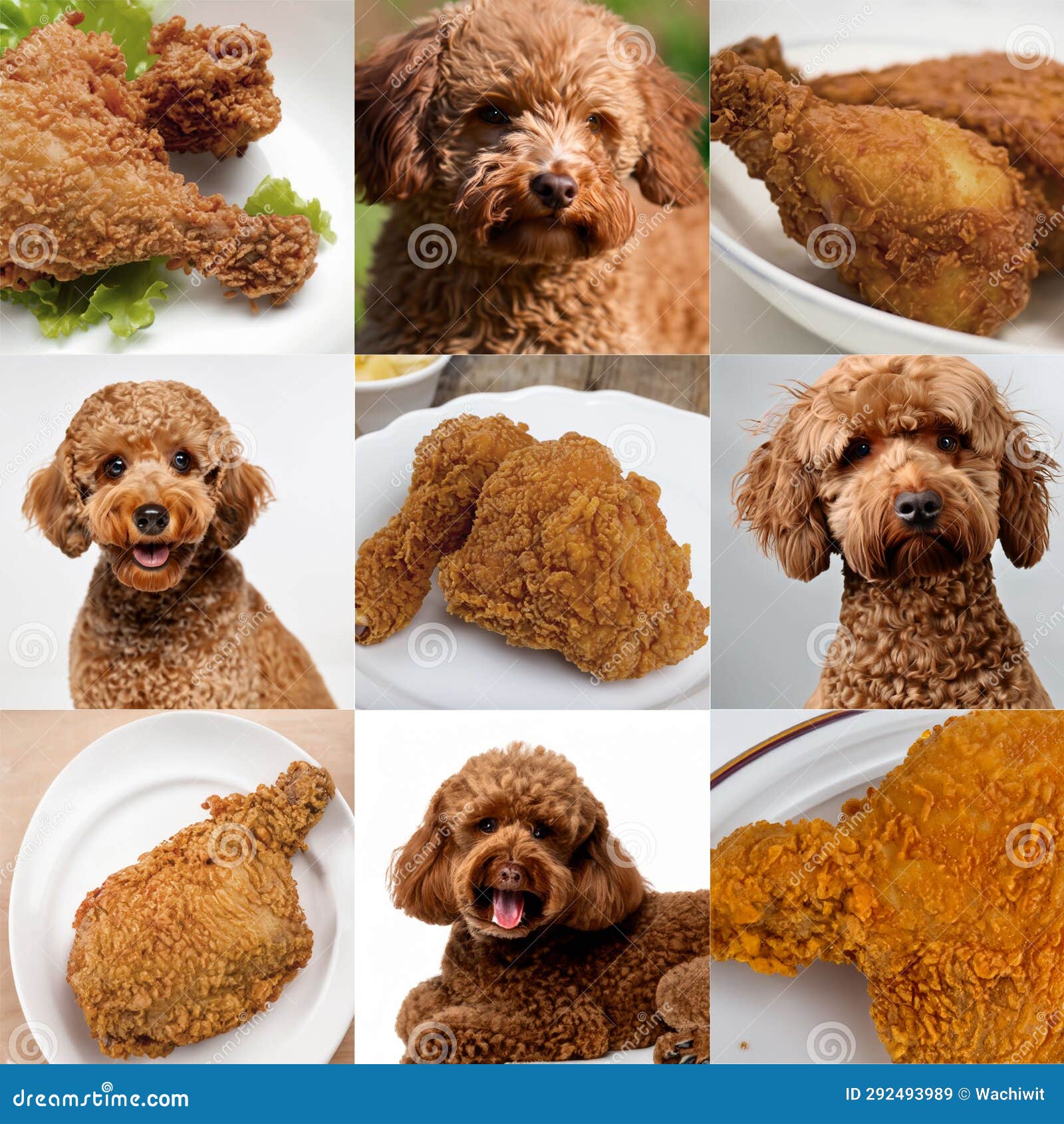 Labradoodle or Fried Chicken Stock Illustration Illustration of puppy