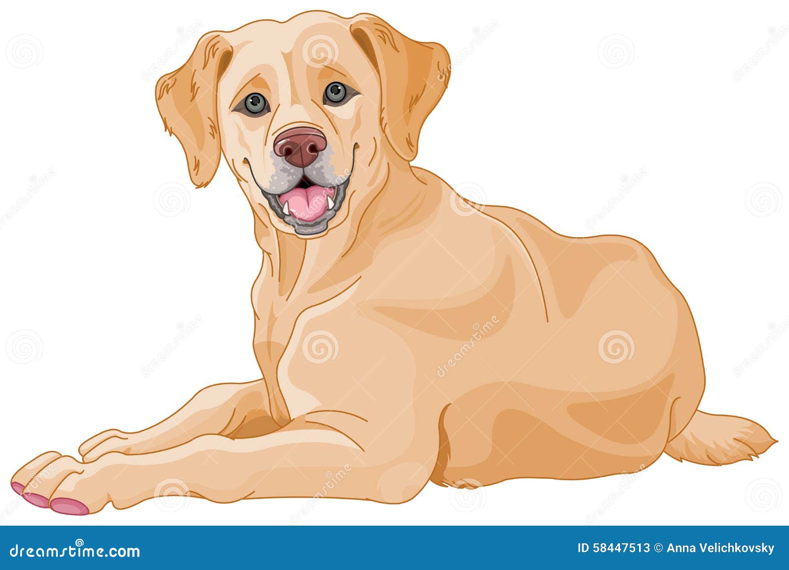 Labrador vektor abbildung. Illustration von zeichen, glücklich 58447513