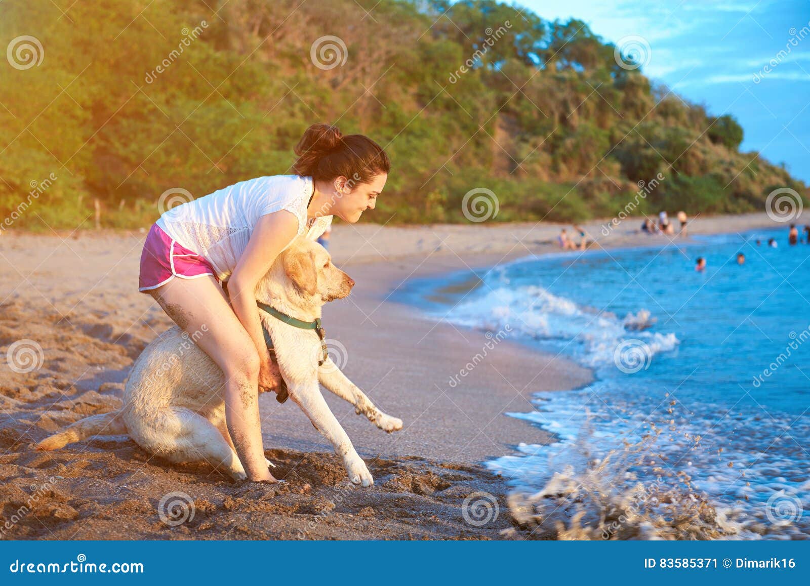 labrador dog afraid of swimming