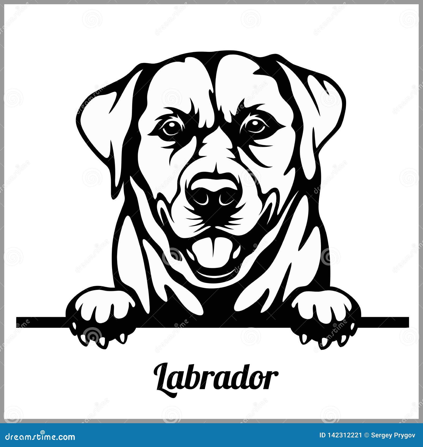 Download Labrador Peeking Dogs Breed Face Head Isolated On White Stock Vector Illustration Of Design Mammal 142312221