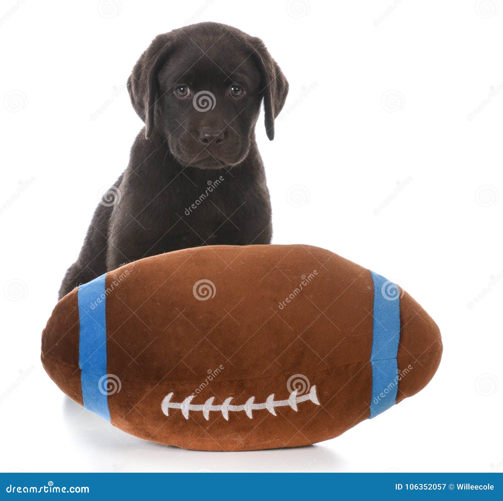 Football Lab Photos Free Royalty Free Stock Photos From Dreamstime
