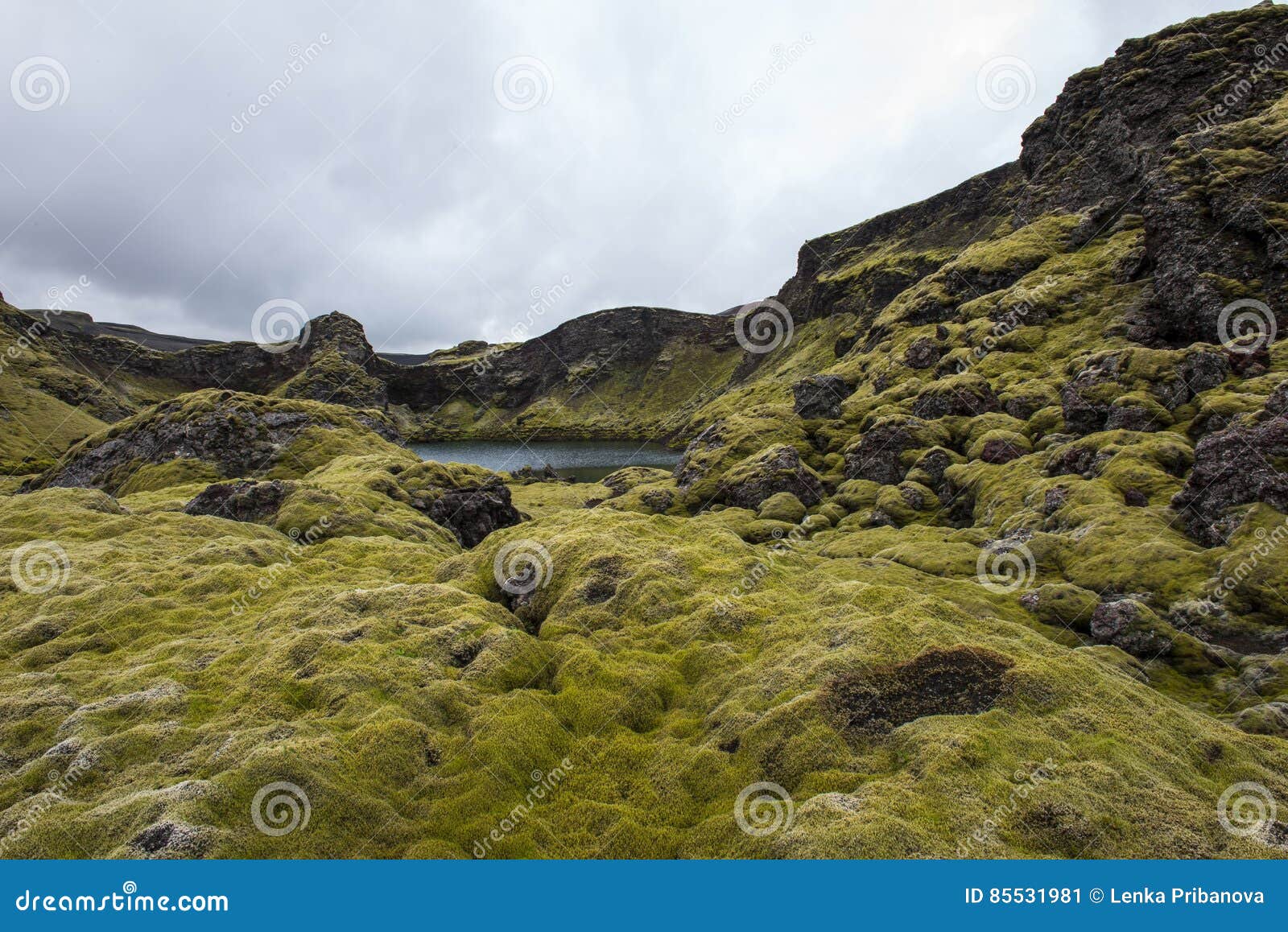  Lac  De Crat re De Laki  Islande Image stock Image du 