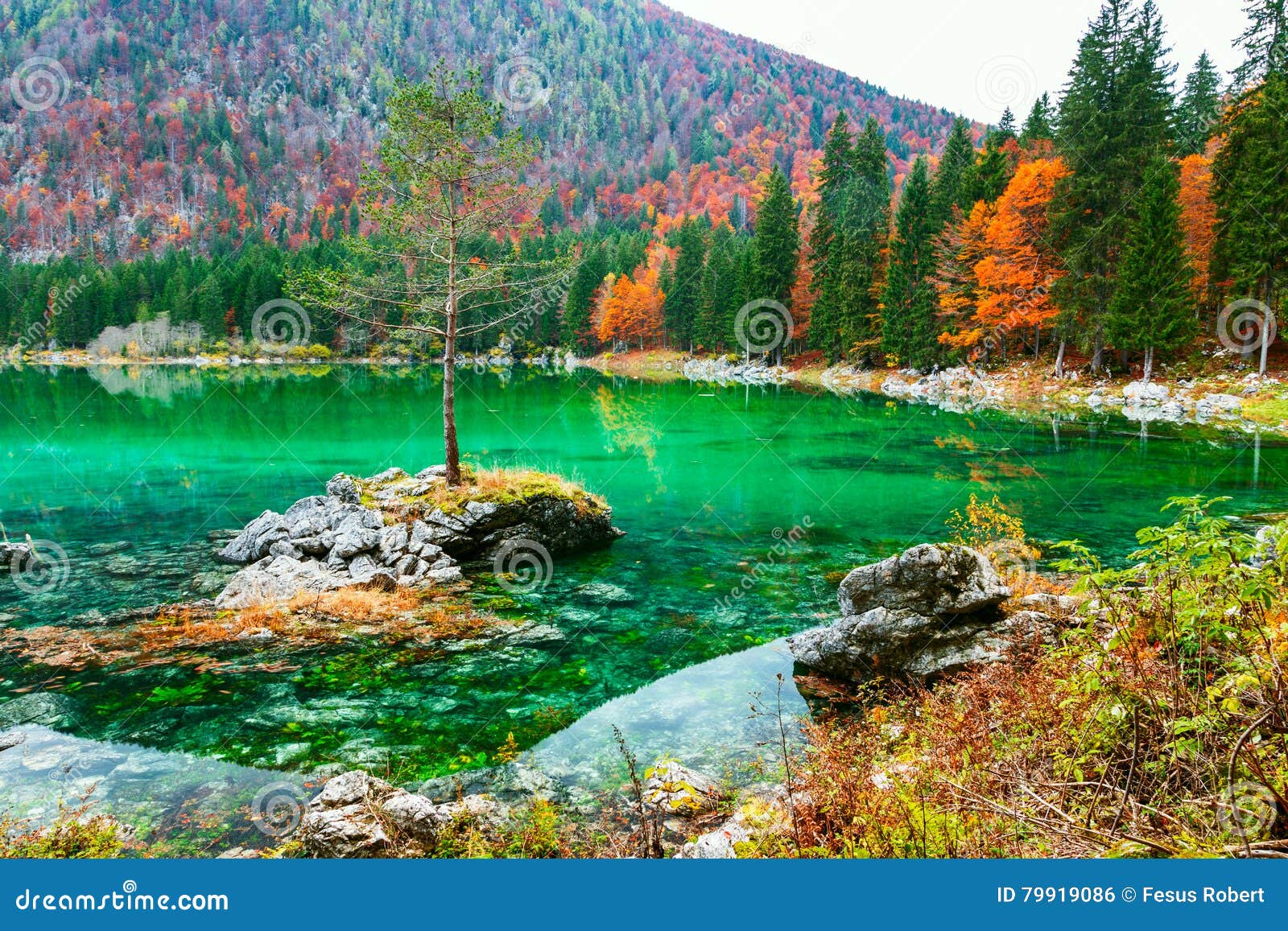 Lac De Montagne De Fusine Lago Di Fusine De Lac En Italie Du Nord Photo Stock Image Du Fusine Italie