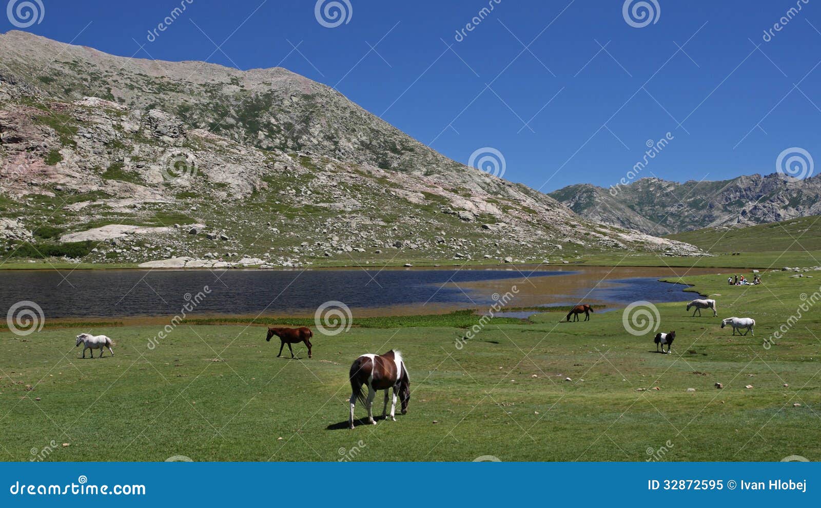 lac de nino , corsica