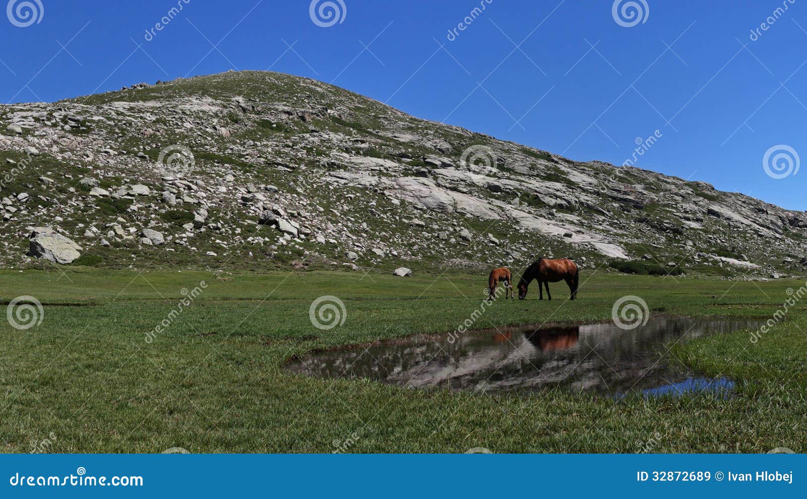 lac de nino , corsica