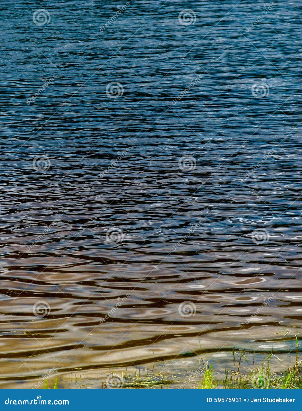 Lac propre de scintillement. Au rivage du lac Sebago dans Sebago, Maine, été de 2015