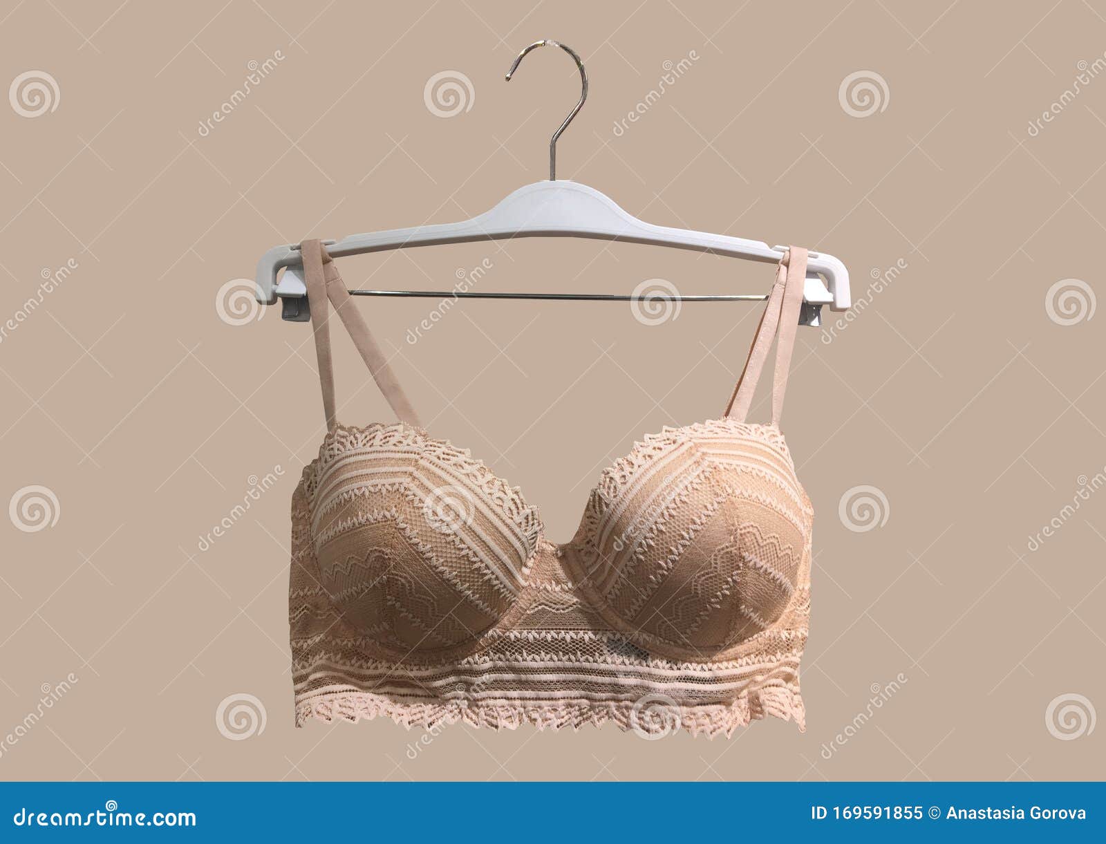 Lace Bra on a Hanger. Underwear. Stylish Lingerie Stock Image - Image of  bikini, background: 169591855