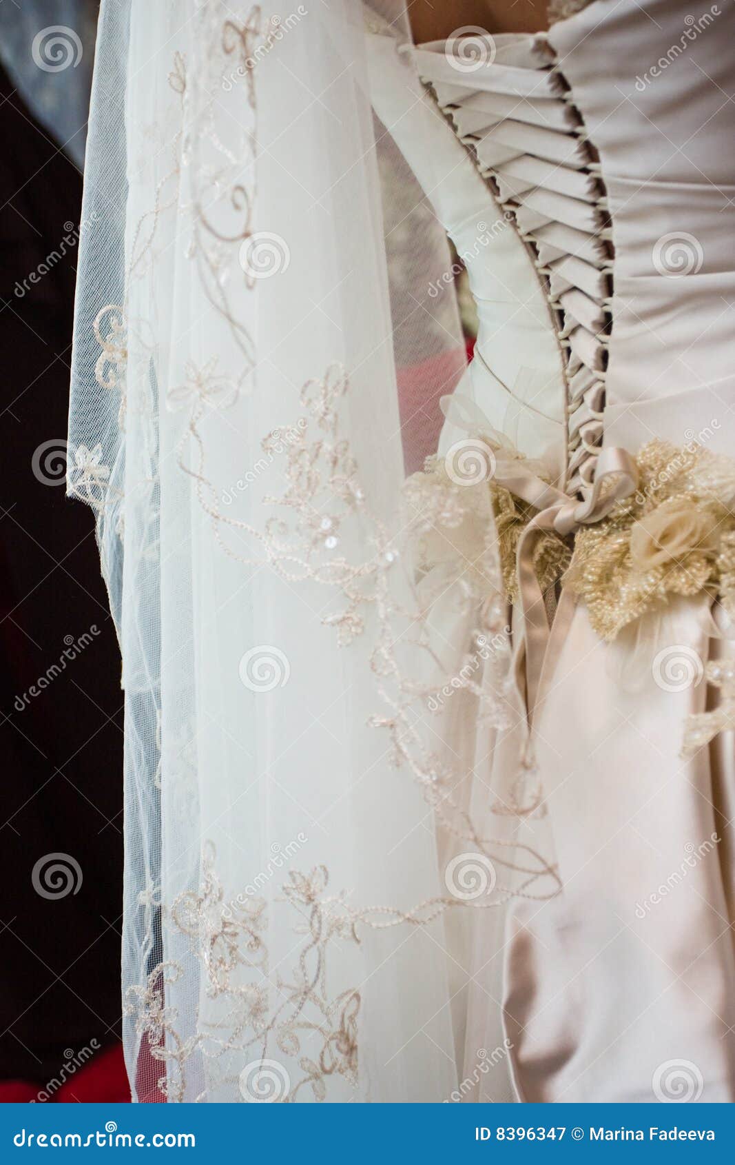 Lacing of the Wedding Dress Stock Image Image of romance, fashion