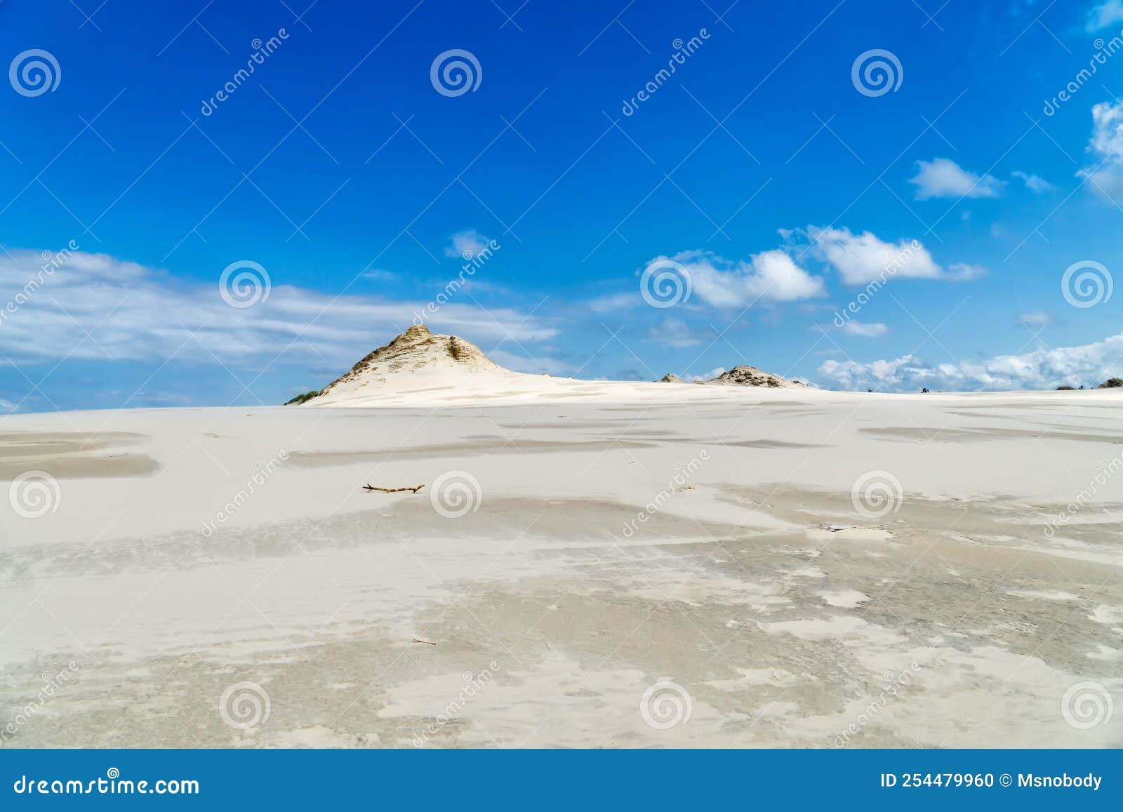 Lacka Dune in Slowinski National Park in Poland, a Miracle of Nature.  Traveling Dune in Sunny Summer Day Stock Photo - Image of protection,  explore: 254479960