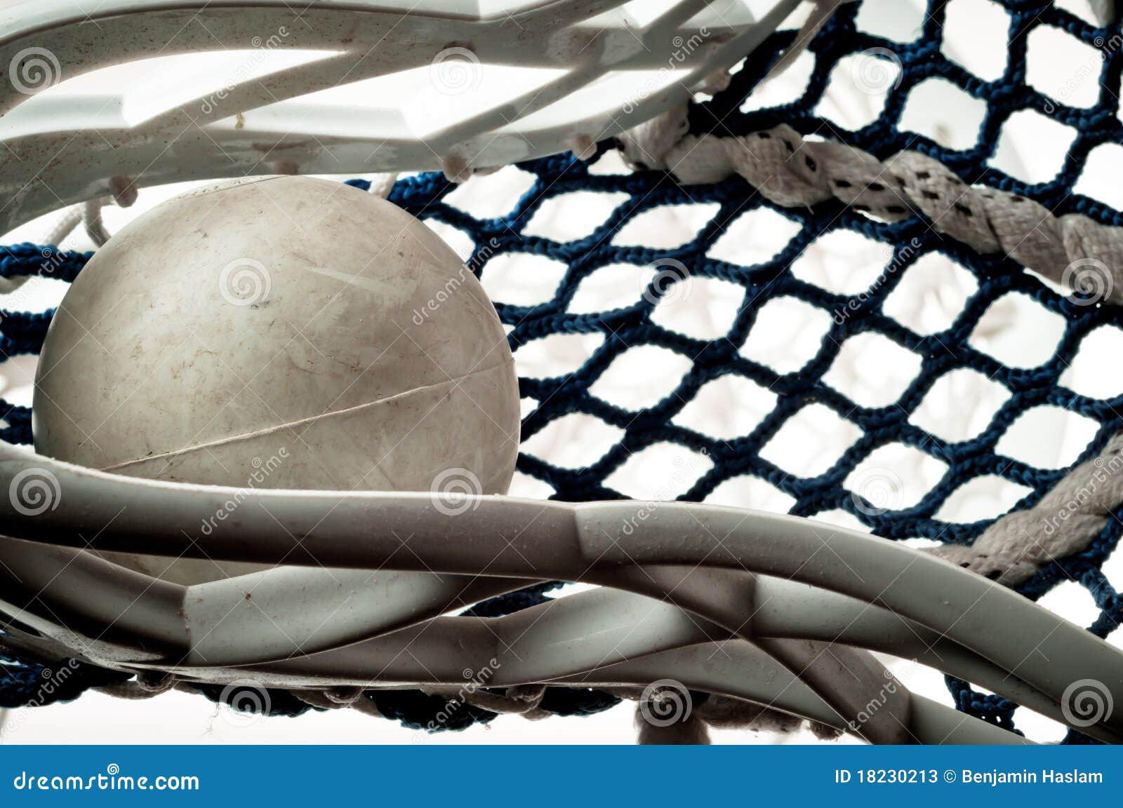 Lacrosse ball in head stock image. Image of sport, cloth 18230213