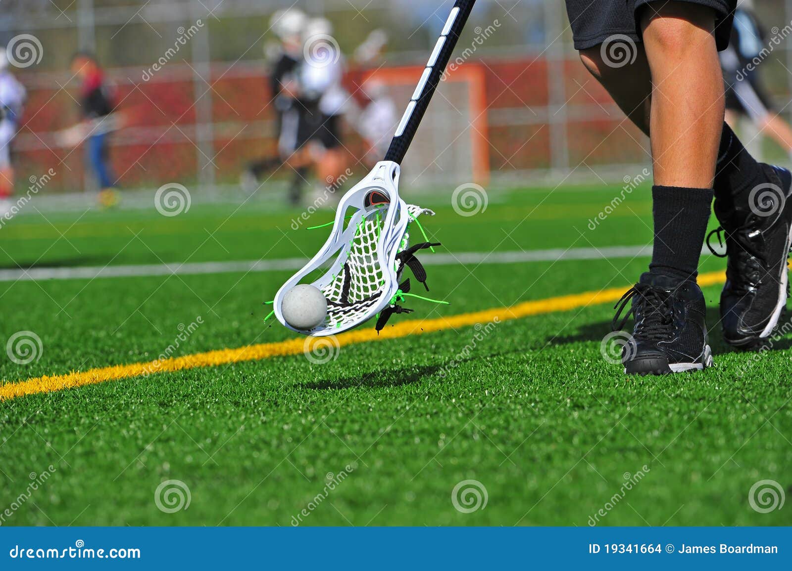Lacrosse ball in a head stock photo. Image of action 19341664