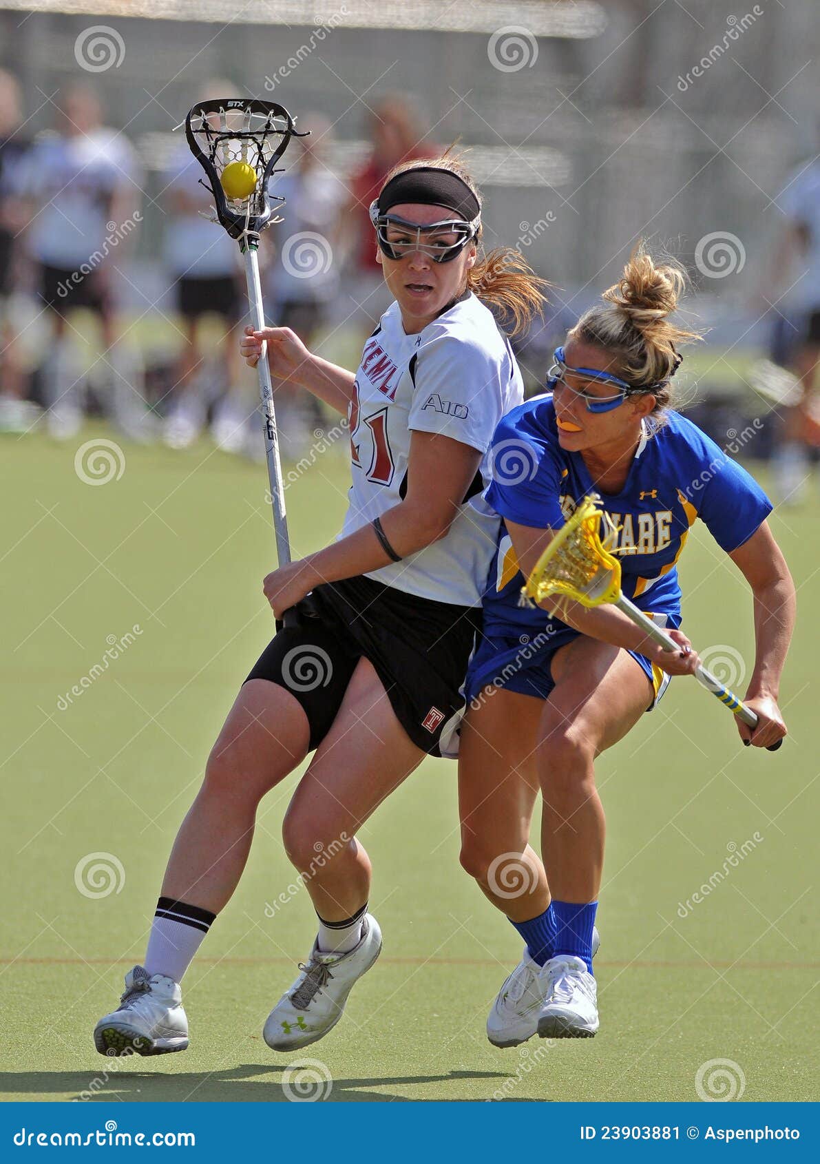 FITTING GUIDE, image size:1191x1690