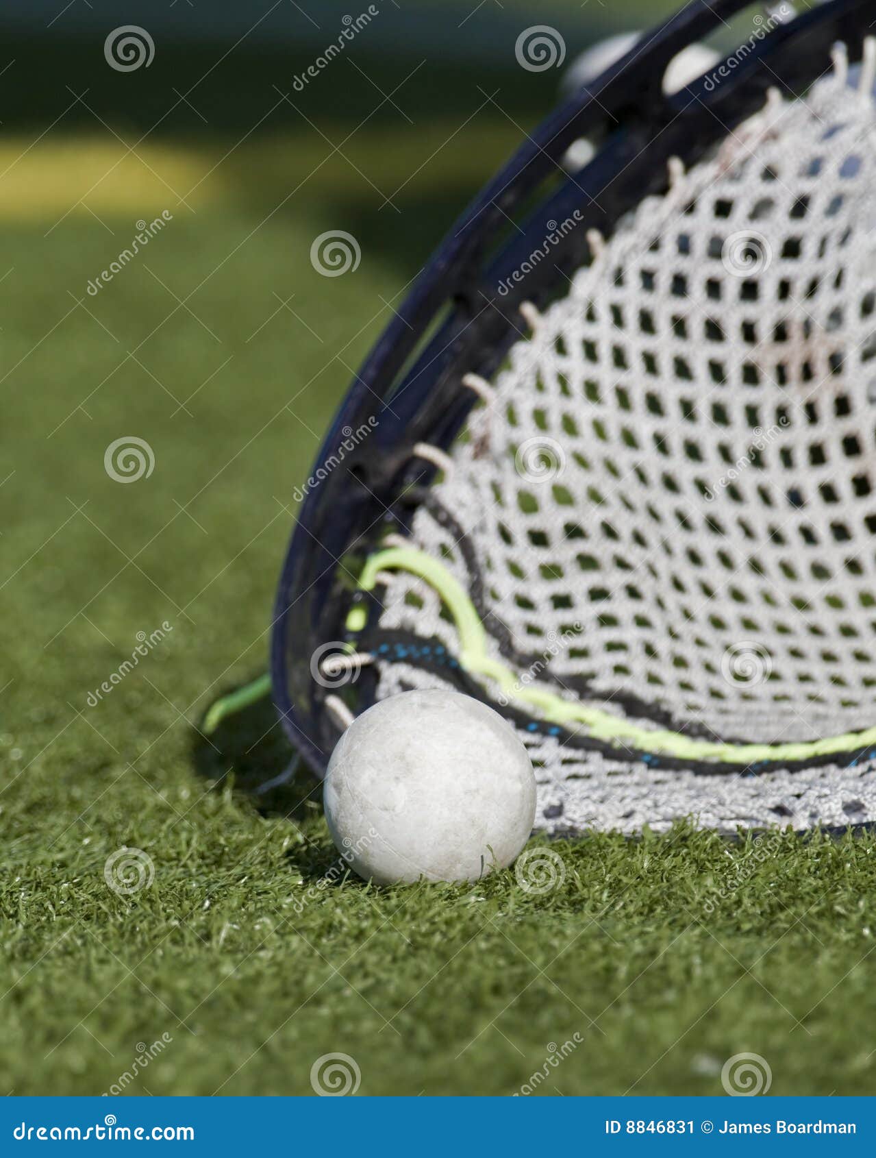 Lacrosse Goalie Scooping Up the Ball 1 Stock Image Image of scooping