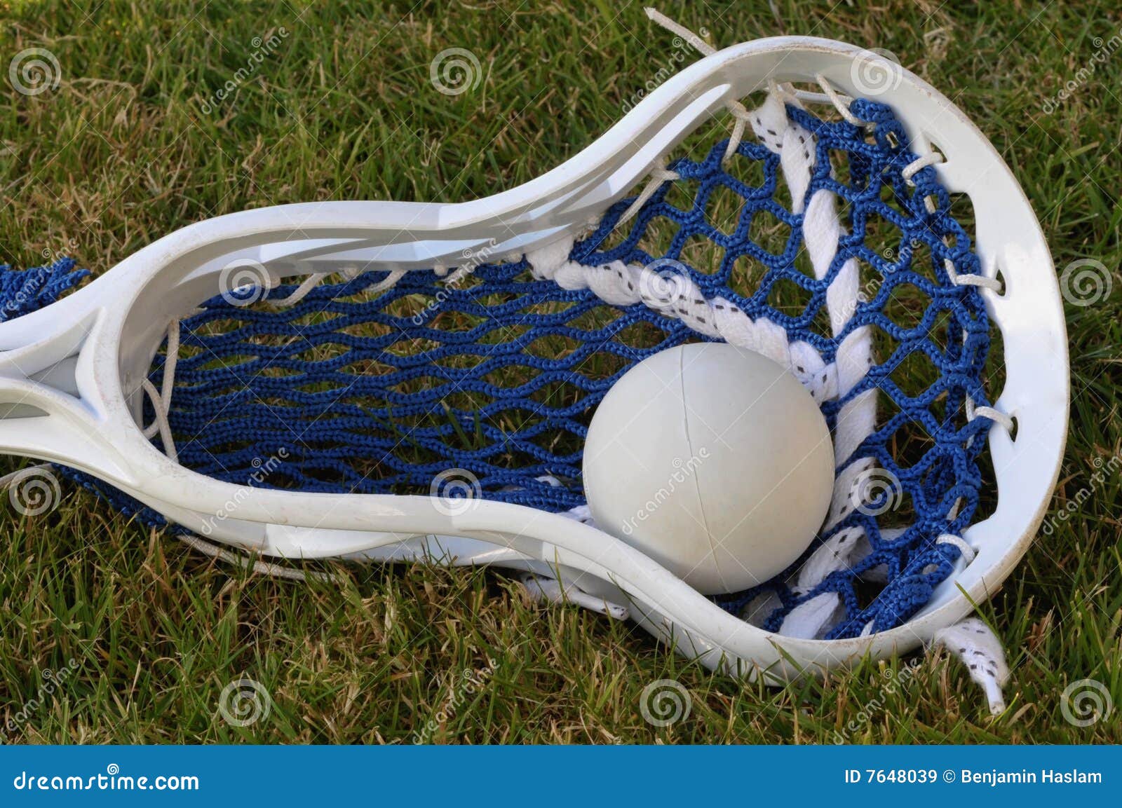 Lacrosse Head and Ball stock image. Image of lacrosse 7648039