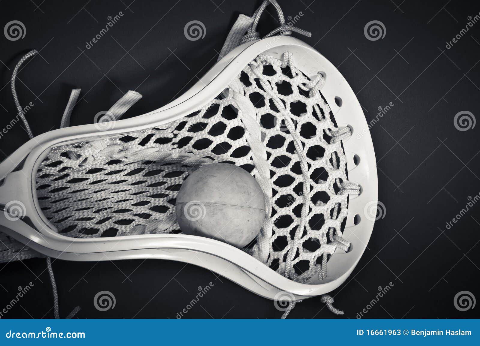 Lacrosse Head with Ball Black and White Stock Image Image of plastic