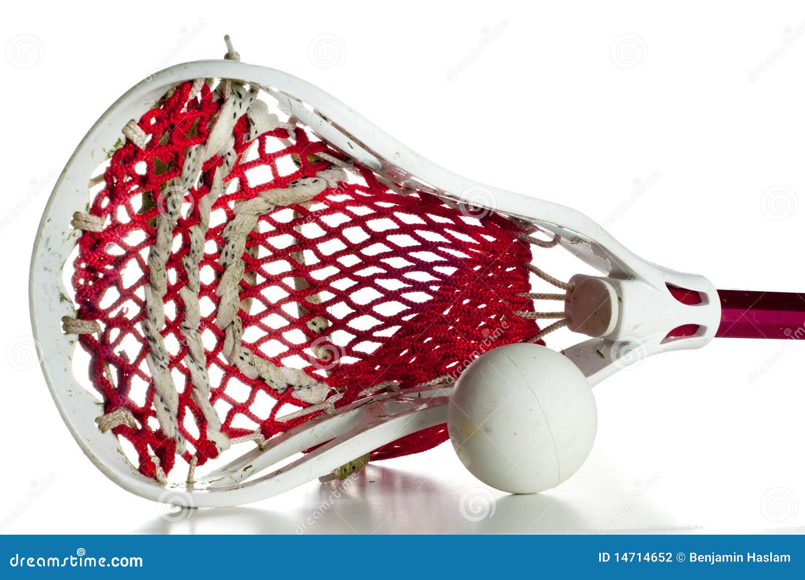 Lacrosse Head with a Grey Ball Stock Photo Image of shot, competition