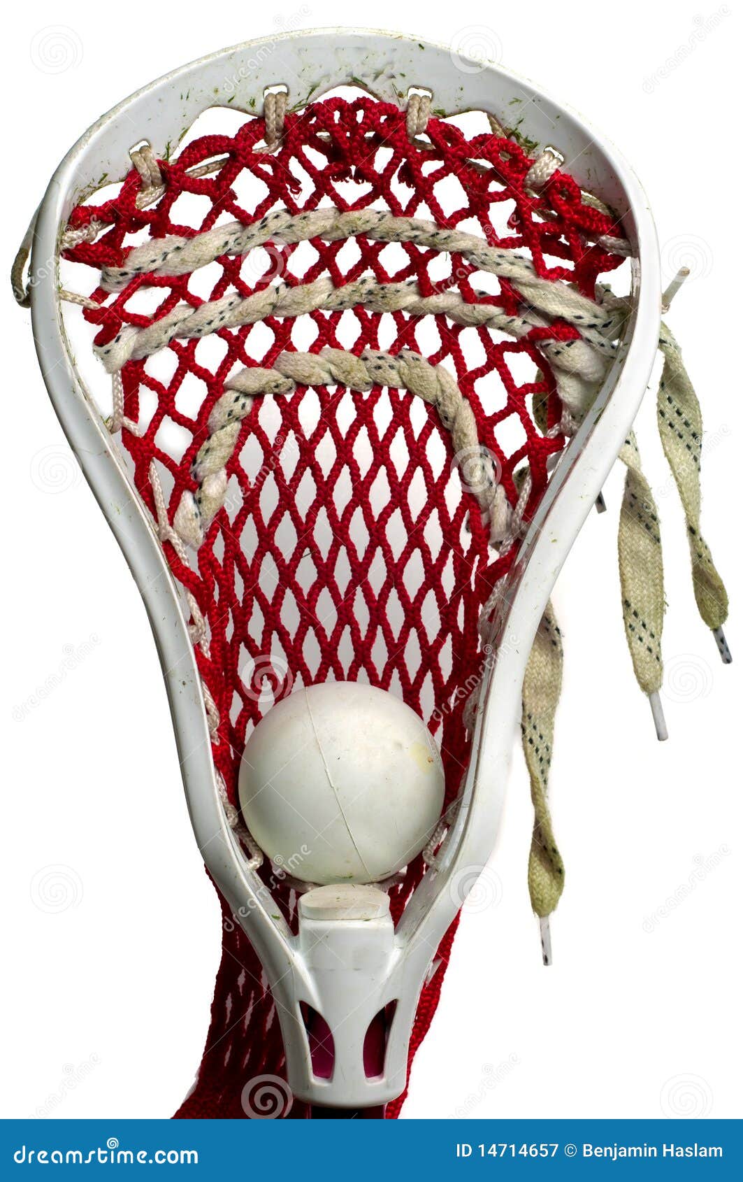 Lacrosse Head with a Grey Ball Stock Image Image of competition, game