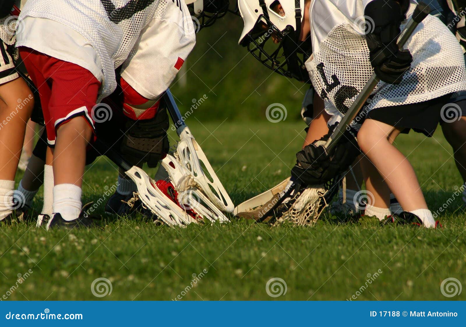 Lacrosse players stock photo. Image of stick, blue, hand 17188