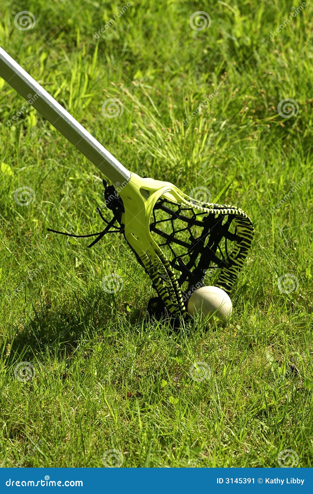 Lacrosse Stick in the Grass Stock Image Image of pocket, equipment