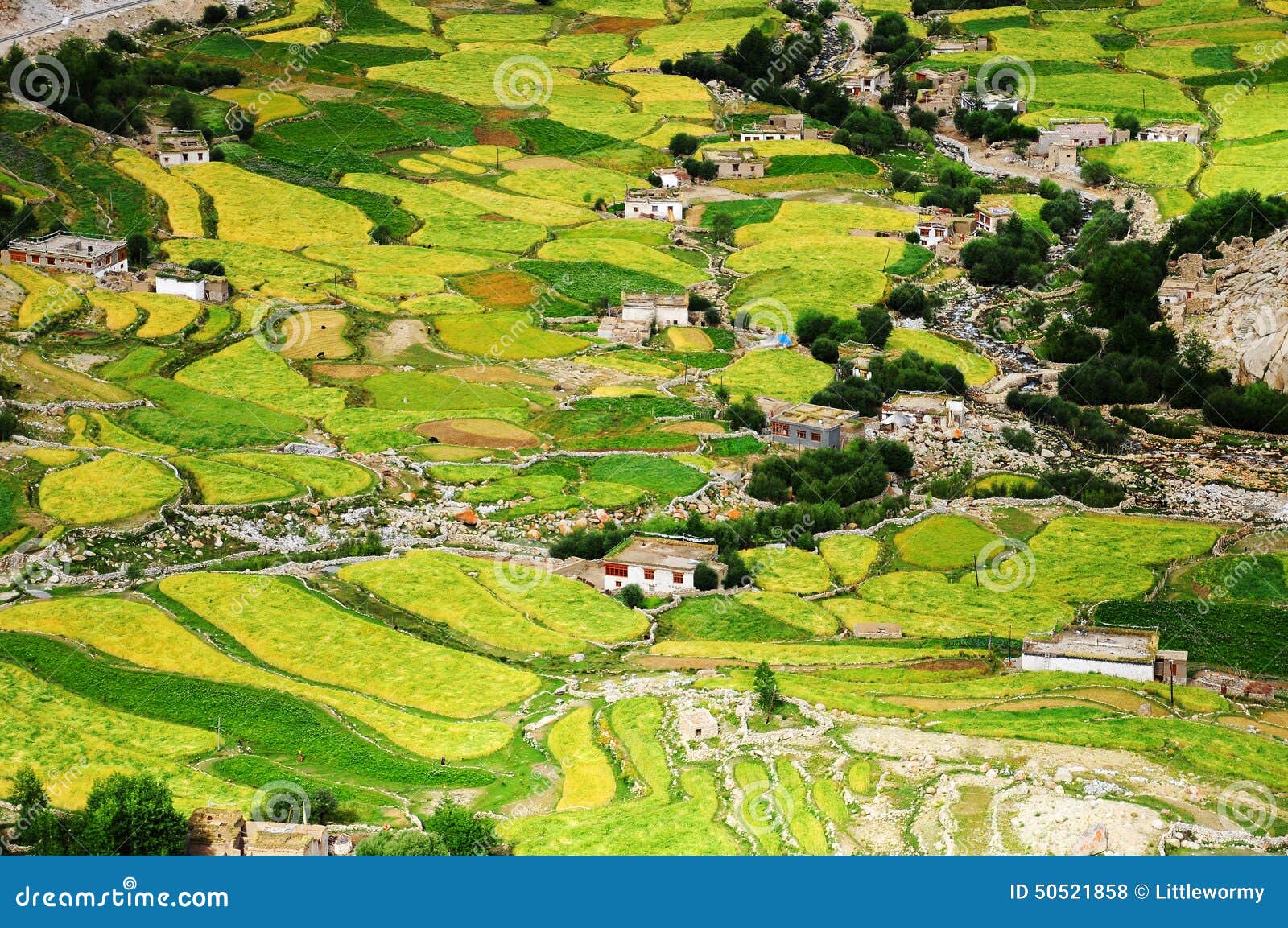 ladakh village