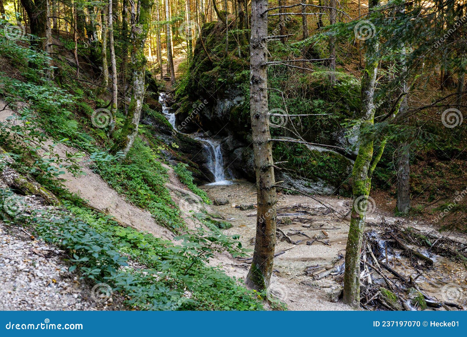 7 Ladders Canyon in Romania Stock Photo Image of nature, environment 237197070