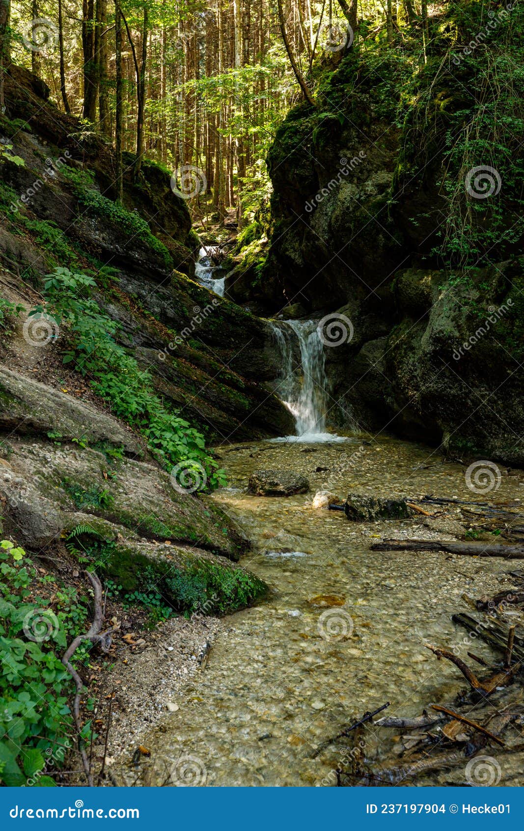 7 Ladders Canyon in Romania Stock Photo Image of scenery, brasov 237197904