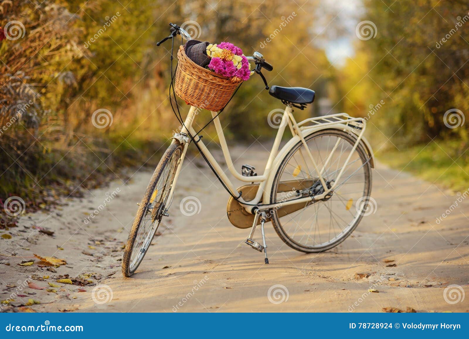 Ladies Bike With A Bouquet Of Flowers Stock Photo Image Of Detail Outdoor
