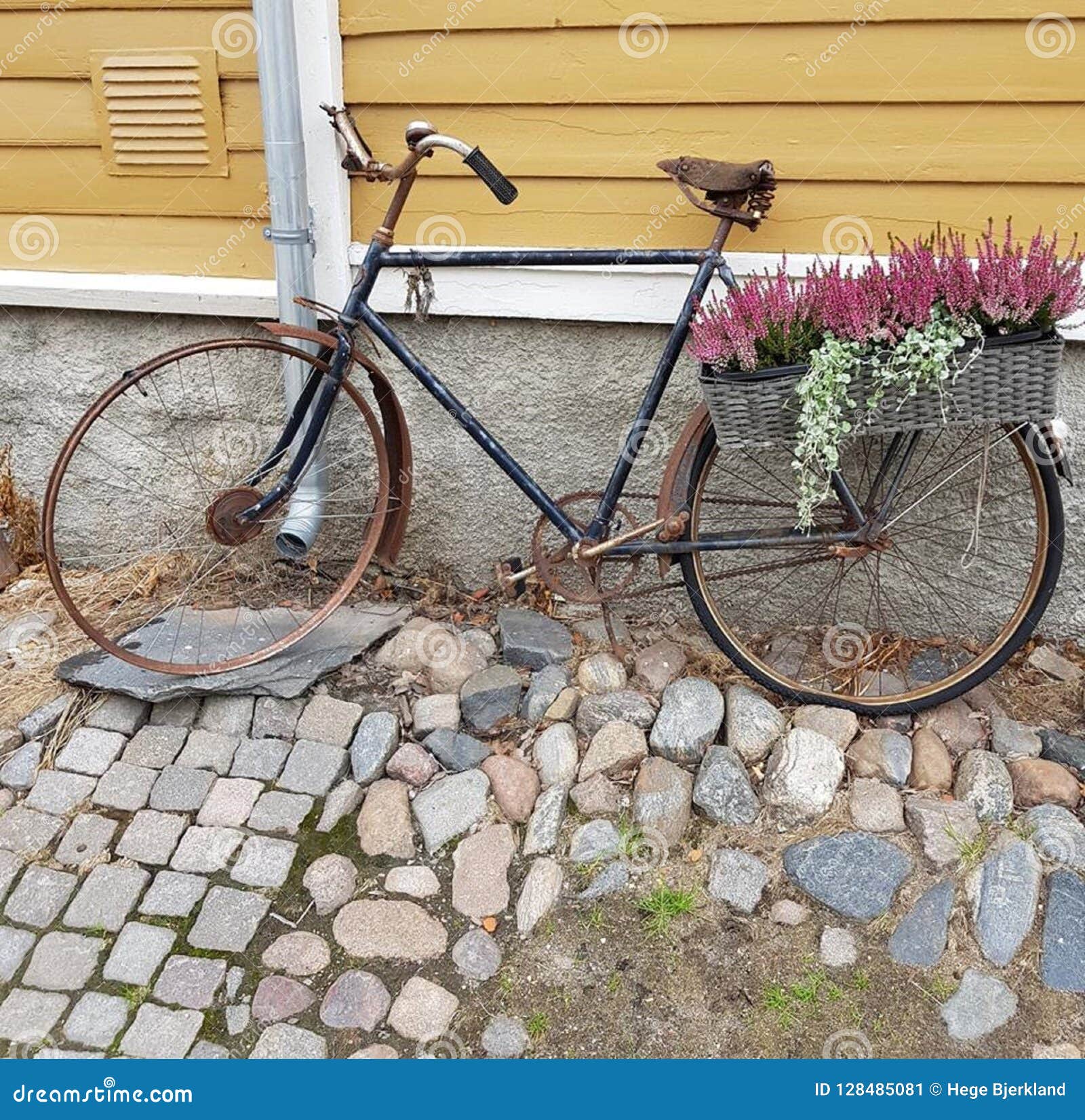 back bike basket