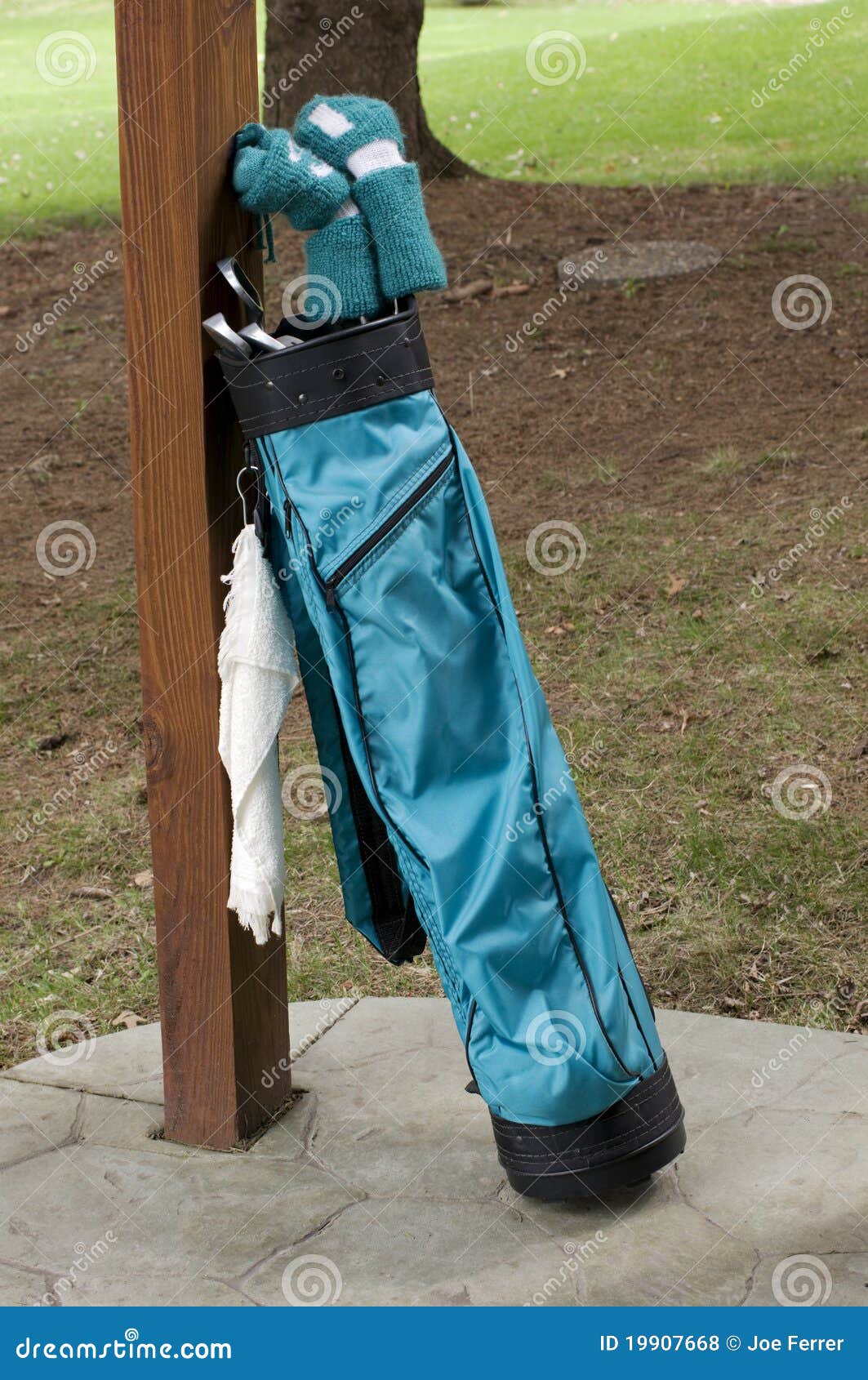 Ladies Golf Clubs and Bag stock photo. Image of irons 19907668