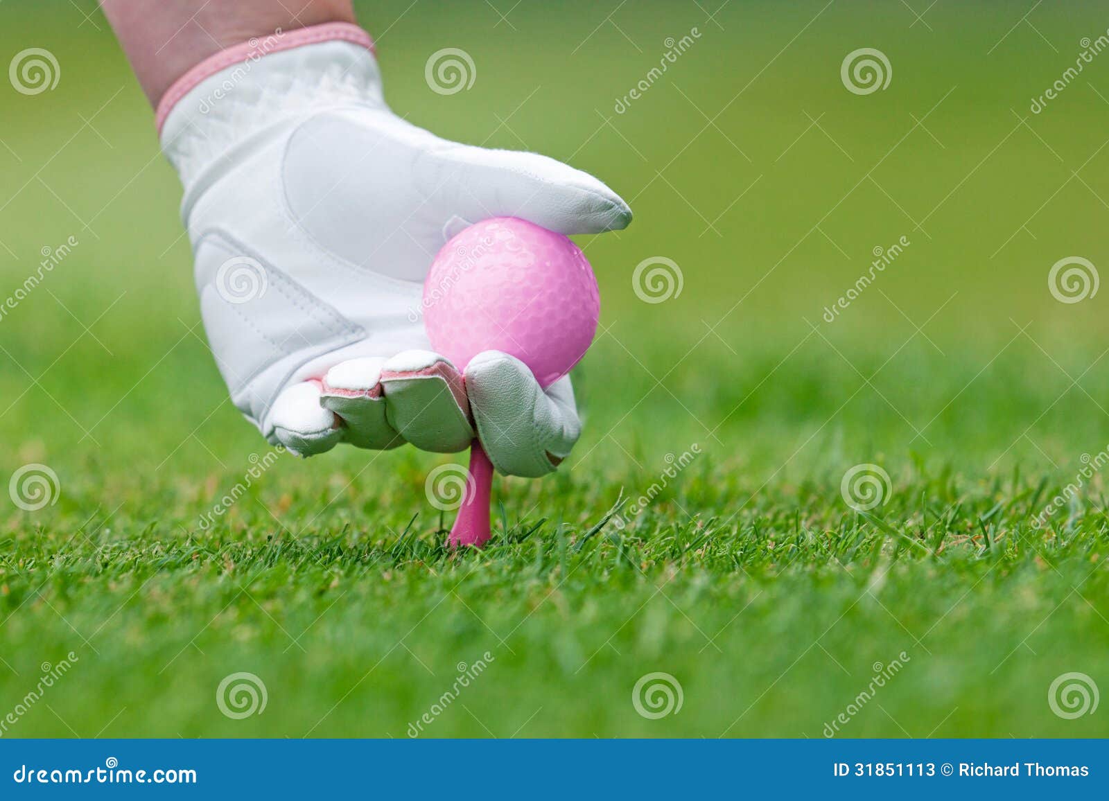 ladies golf hand placing pink tee and ball into ground.