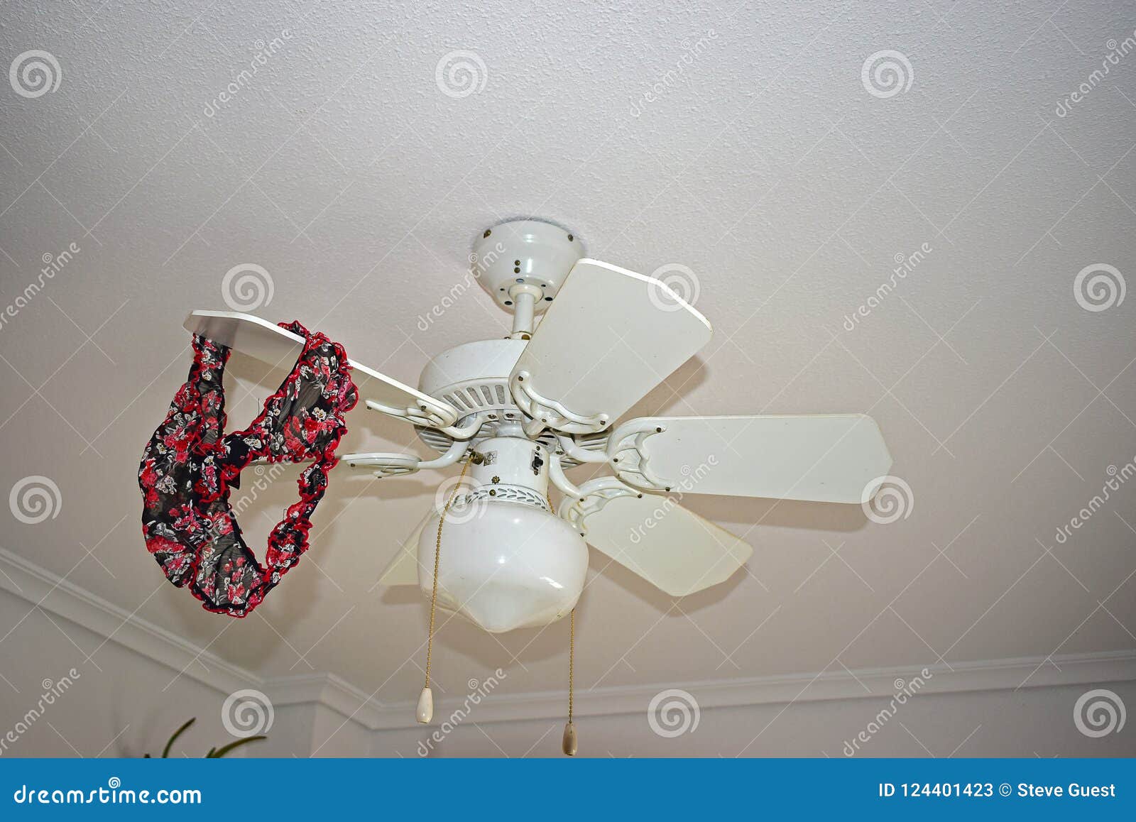 Ladies Knickers On The Ceiling Fan Stock Image Image Of