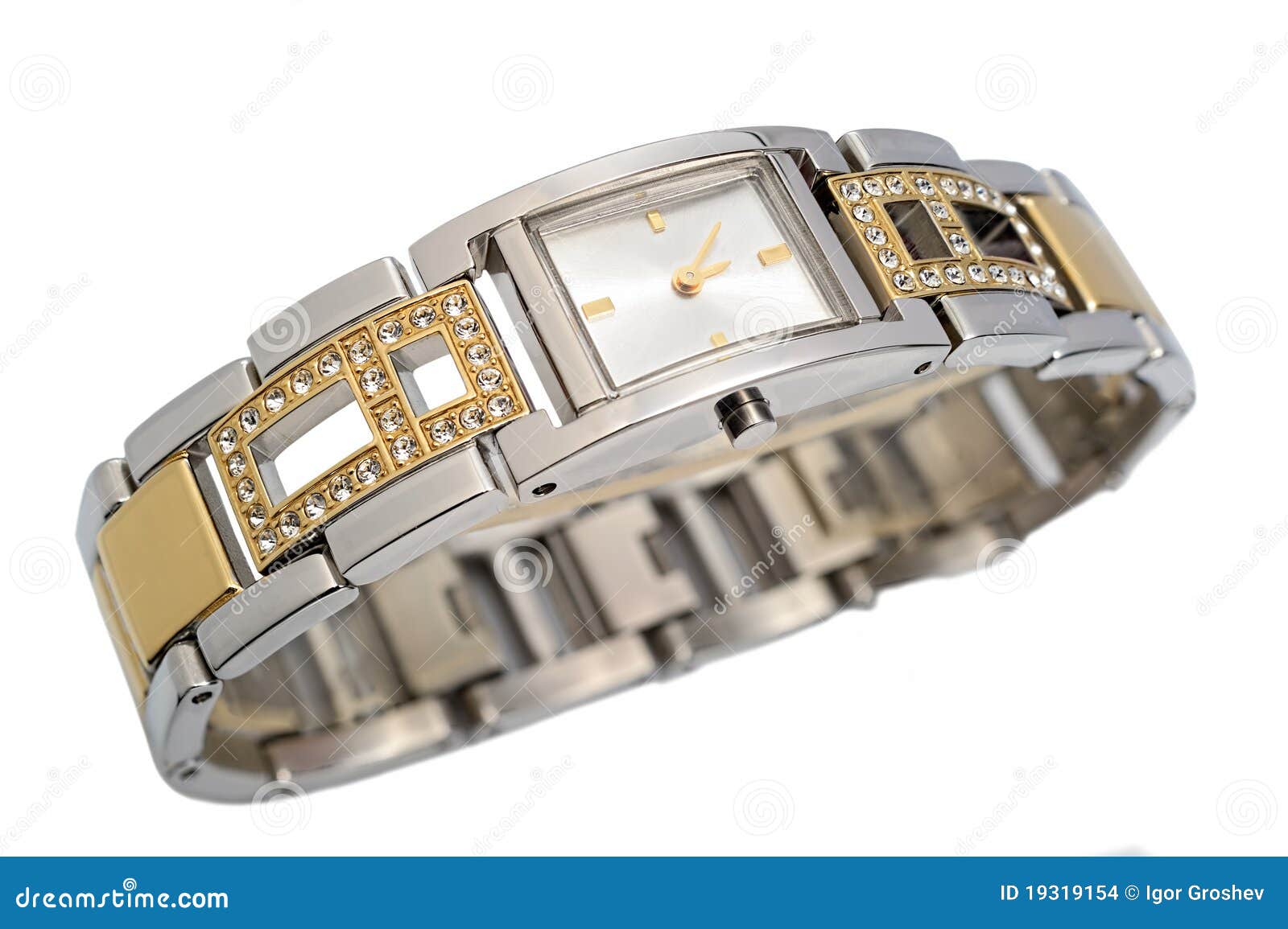 Ladies luxury wrist watch stock photo. Image of chrome - 19319154