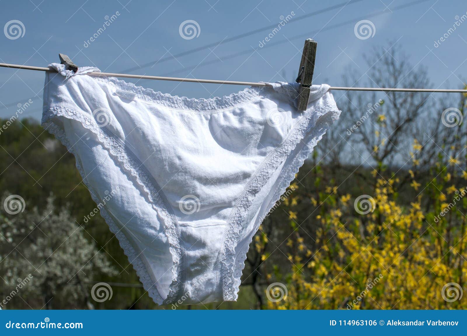 Ladies Undergarments Stock Photos - Free & Royalty-Free Stock