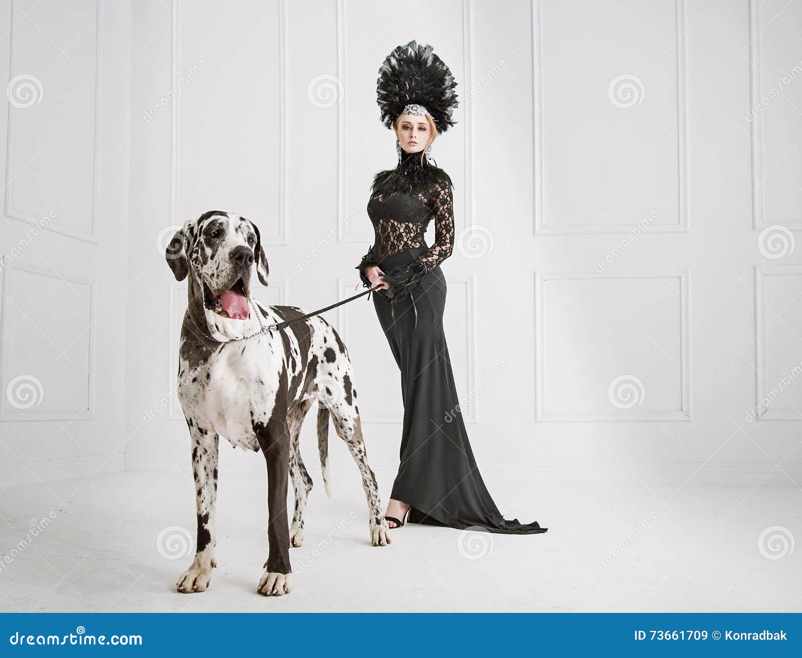 Lady in Black with a Friendly Dog Stock Image Image of canine
