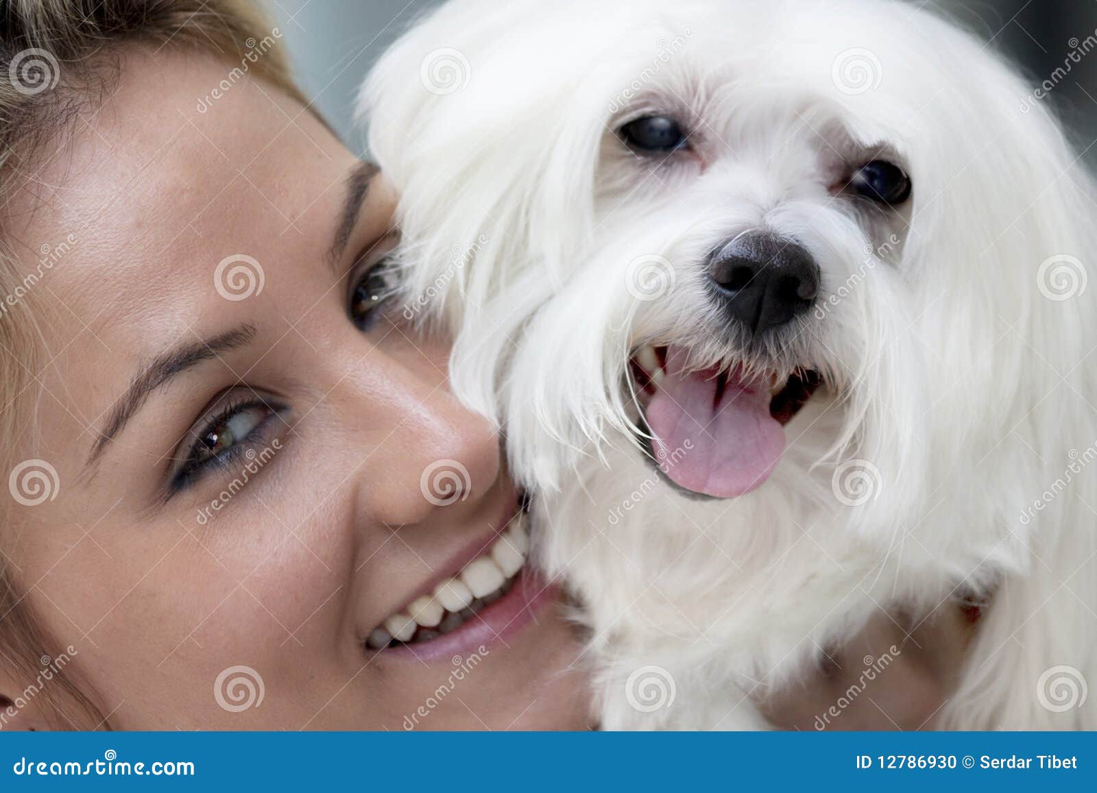 Lady with dog stock photo. Image of maltese, women, lady 12786930