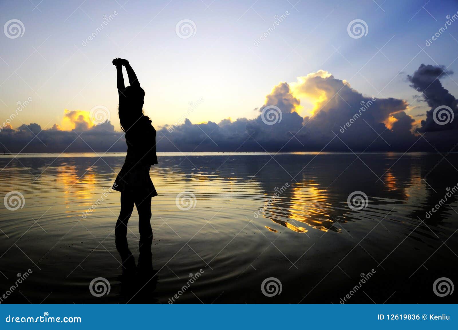 Lady figure stock photo. Image of figure, girl, contour - 12619836