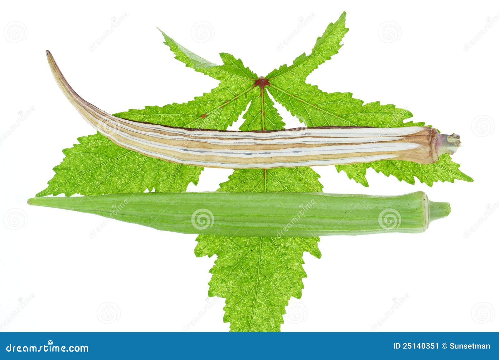 Lady Fingers stock image. Image of nutrition, organic 25140351