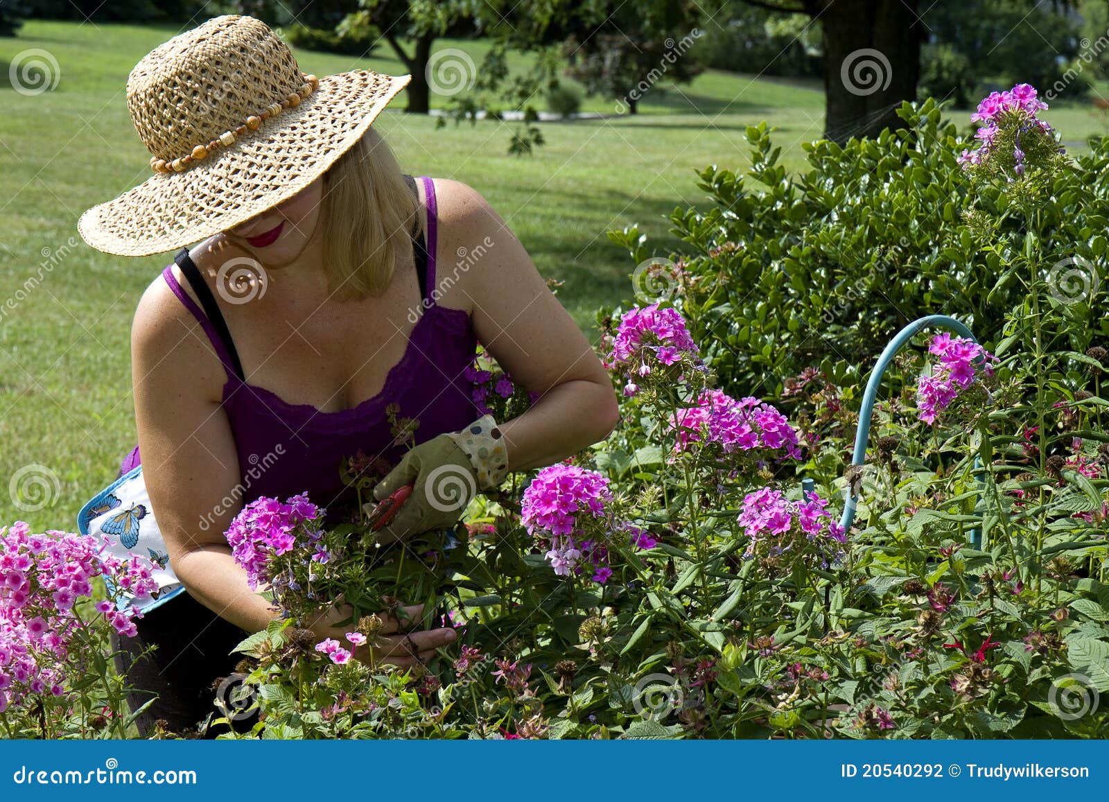 Lady Gardening Stock Photography Image 20540292