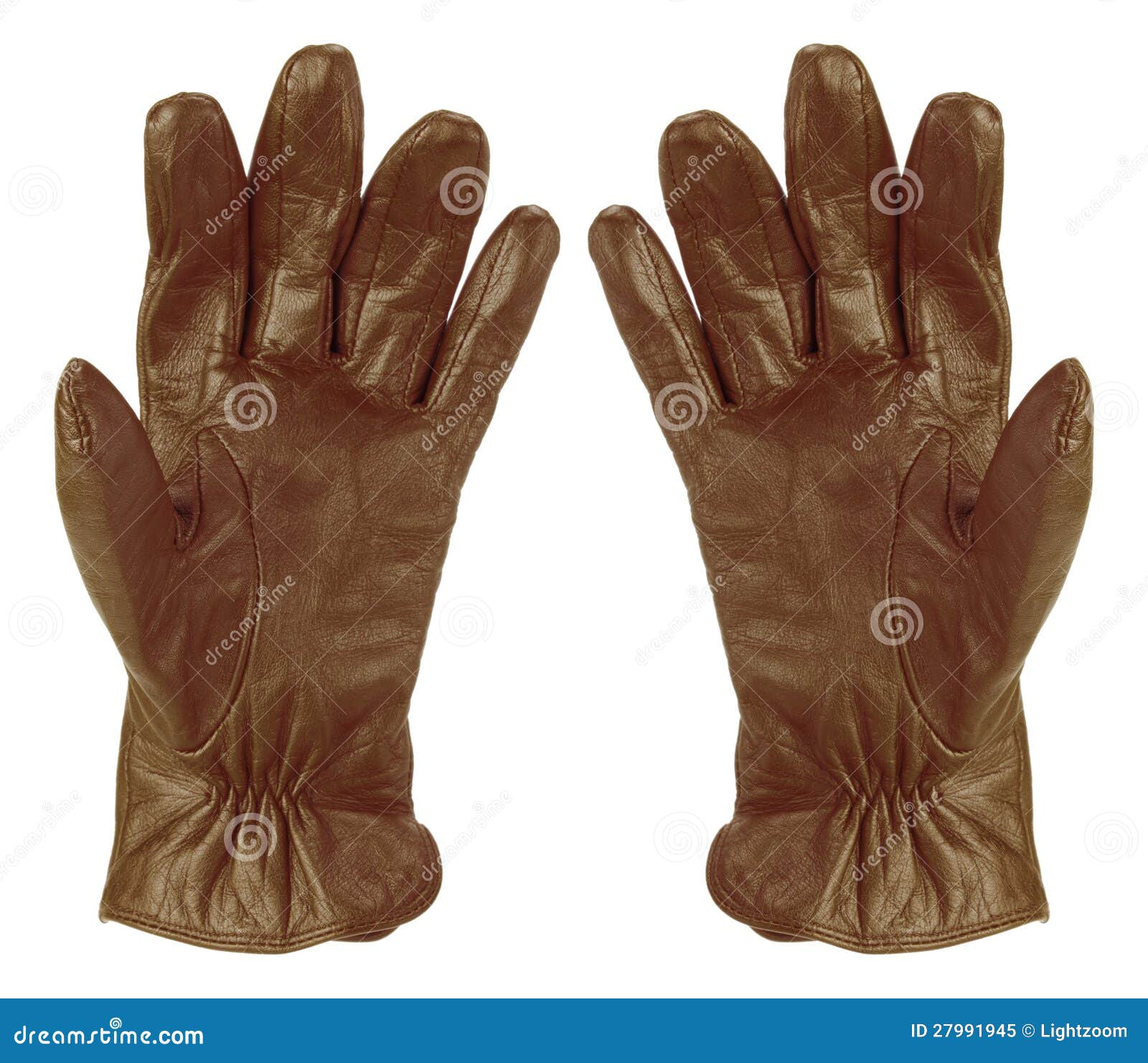 Lady Gloves stock image. Image of lady, personal, cutout 27991945