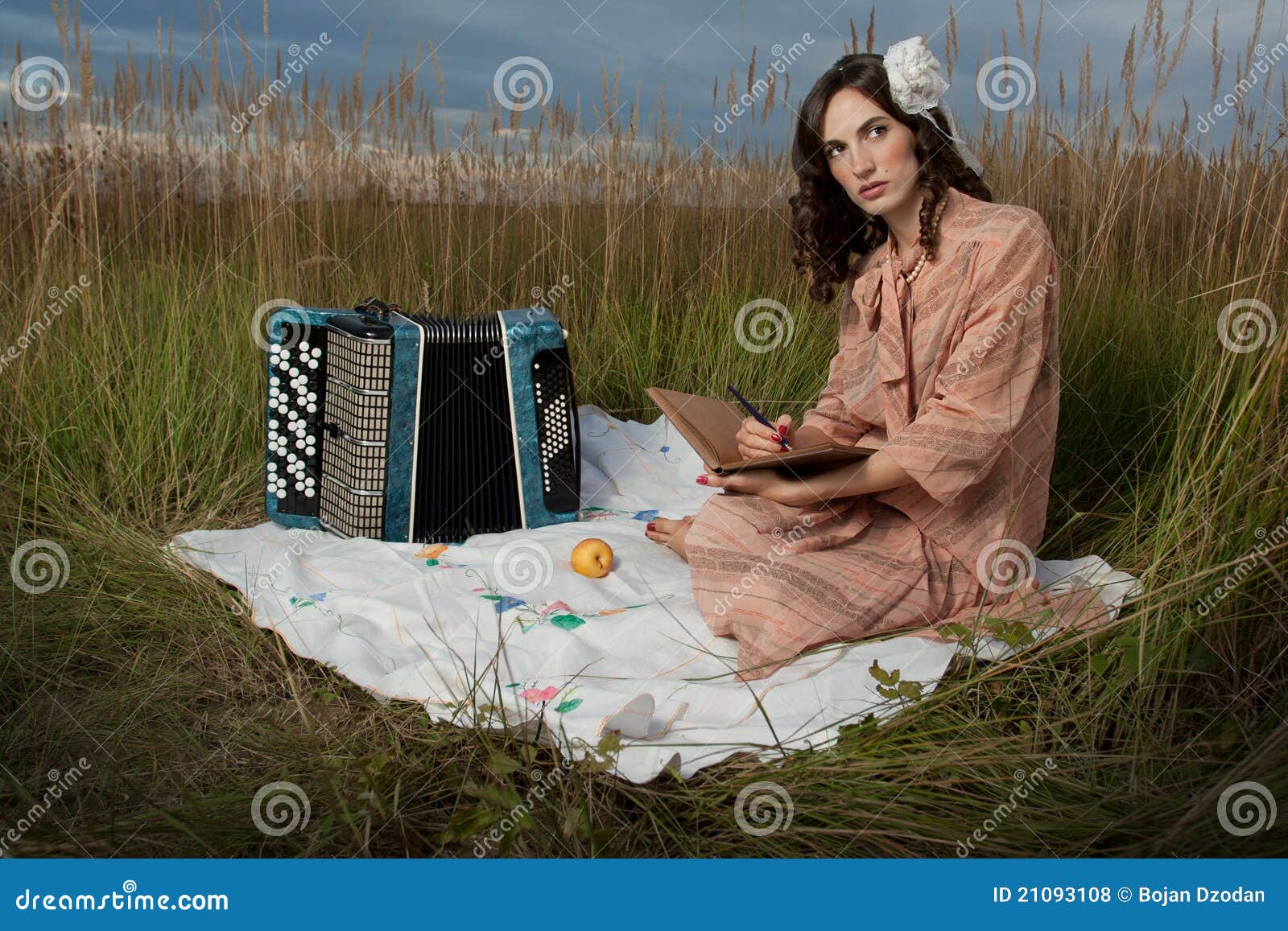 Lady in retro still picnic stock photo. Image of attractive 21093108
