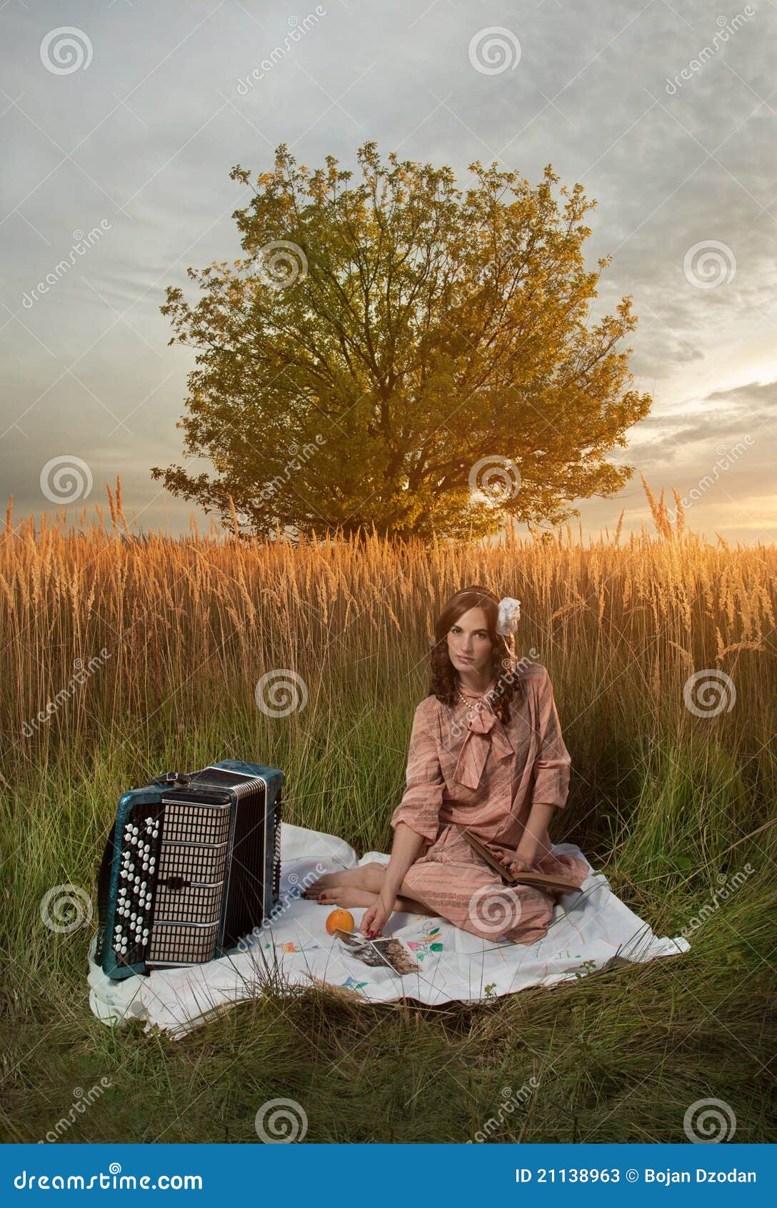 Lady in retro still picnic stock image. Image of beauty 21138963