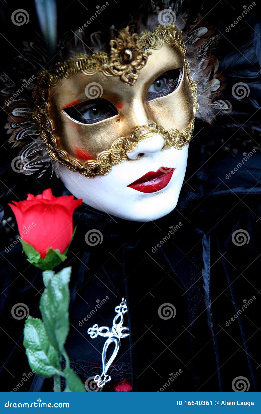 Lady with a rose stock image. Image of drama, artistic - 16640361