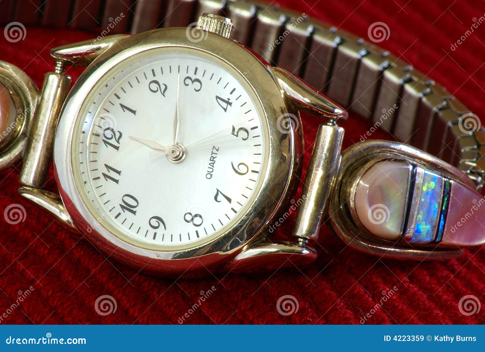 Lady s Wristwatch stock image. Image of round, numbers - 4223359