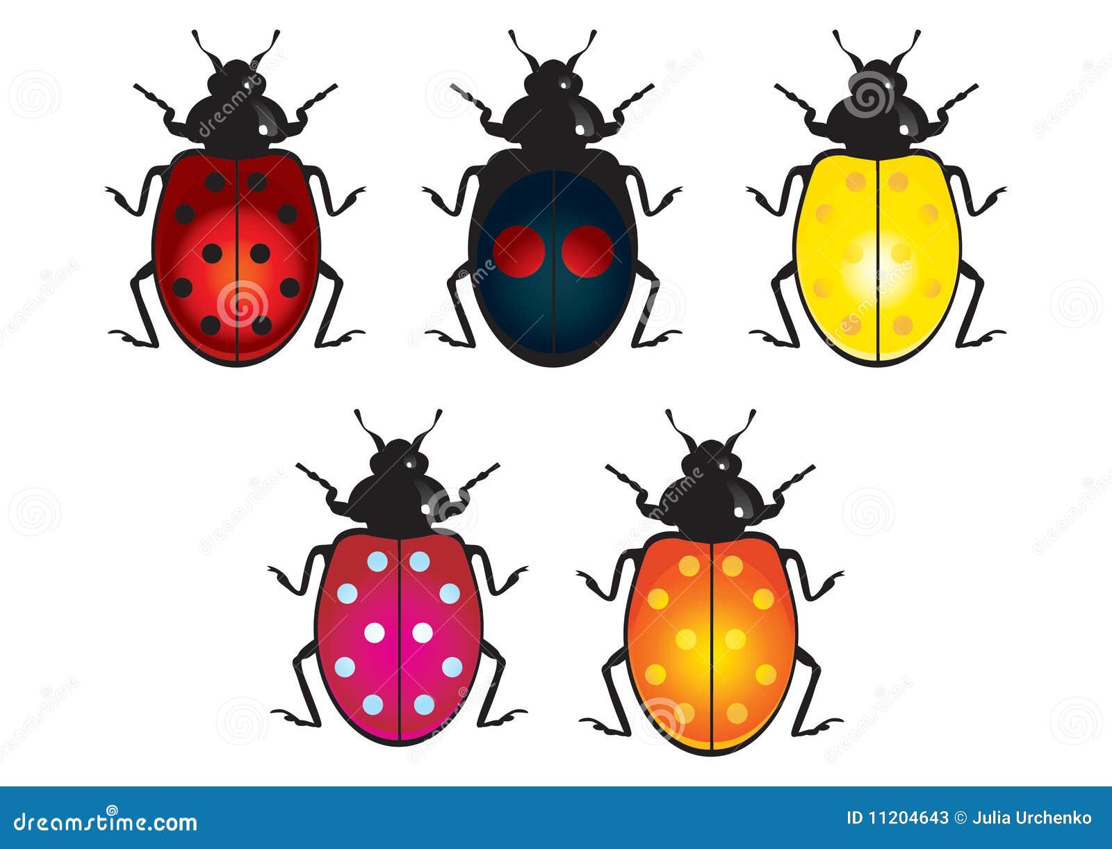 Ladybird beetle. The stylized and detailed image of a ladybug.