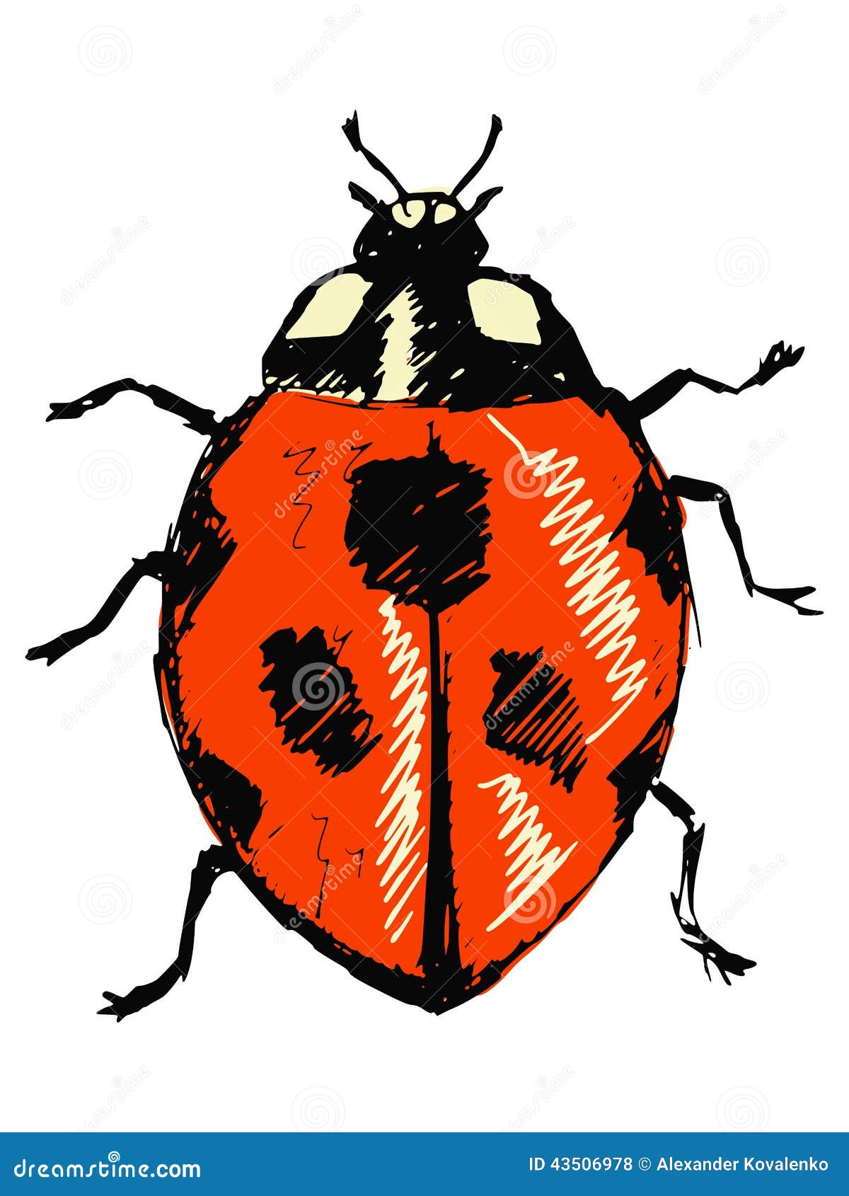 Premium Vector | Single sketch style ladybug illustration black lineart  isolated on white background