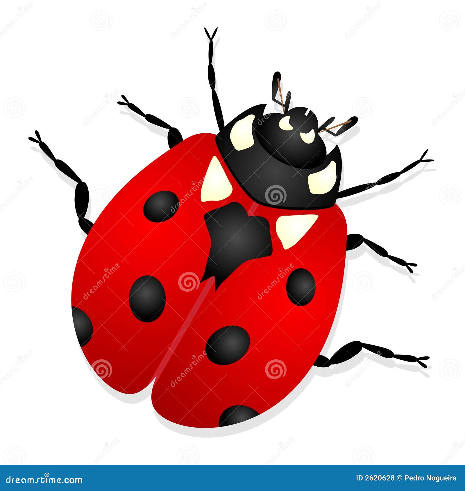 Download Ladybug Insect Illustration Royalty-Free Stock